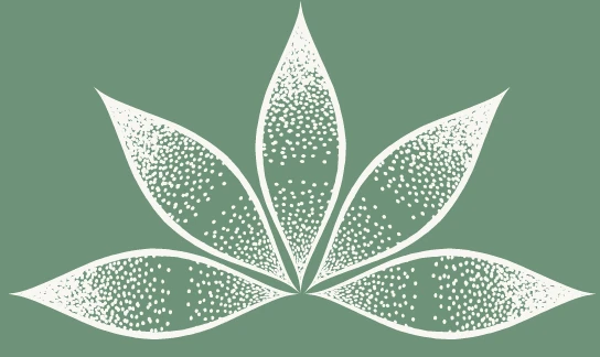 lotusillustratie, symbool voor innerlijke groei en rust.