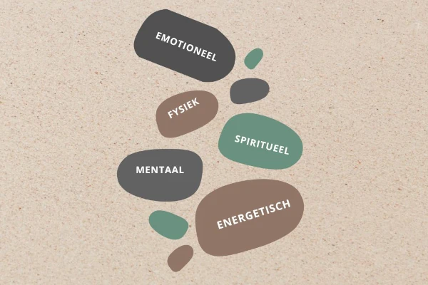 De vijf holistische niveaus 5 holistische niveaus